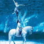 cavalia.jpg cavalia.jpg