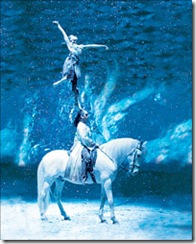 cavalia
