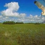 evergladesnps.jpg evergladesnps.jpg