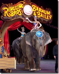 ringling-brothers-circus